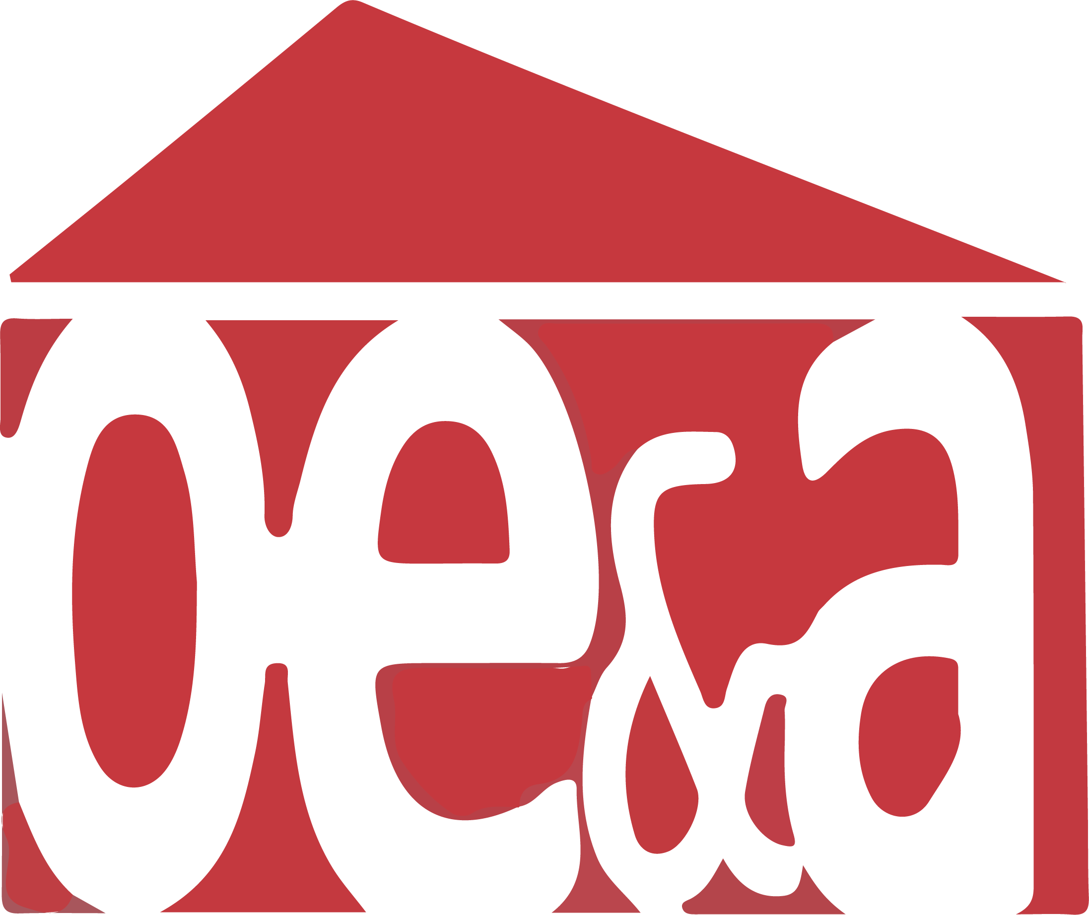 OEA Logo
